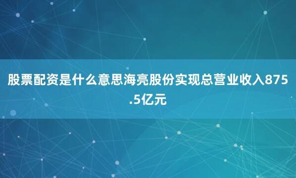 股票配资是什么意思海亮股份实现总营业收入875.5亿元