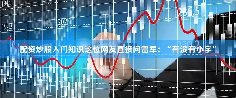 配资炒股入门知识这位网友直接问雷军：“有没有小字”